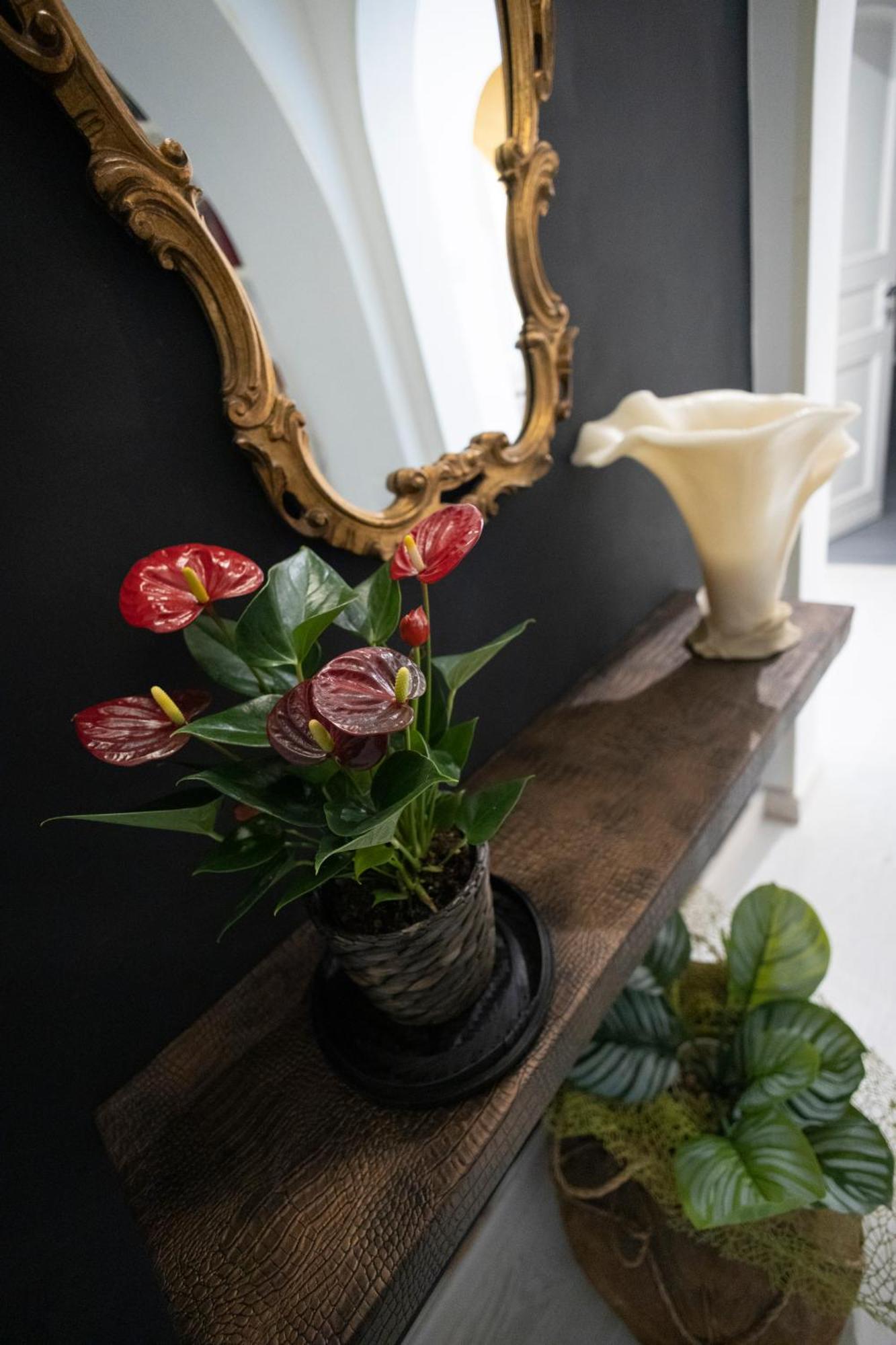 Studio 193 Babuino Lägenhet *